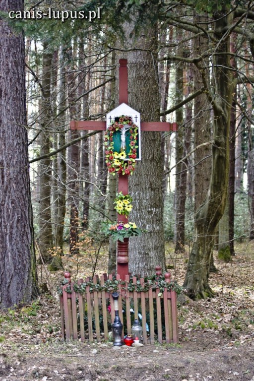Krzyż w lesie