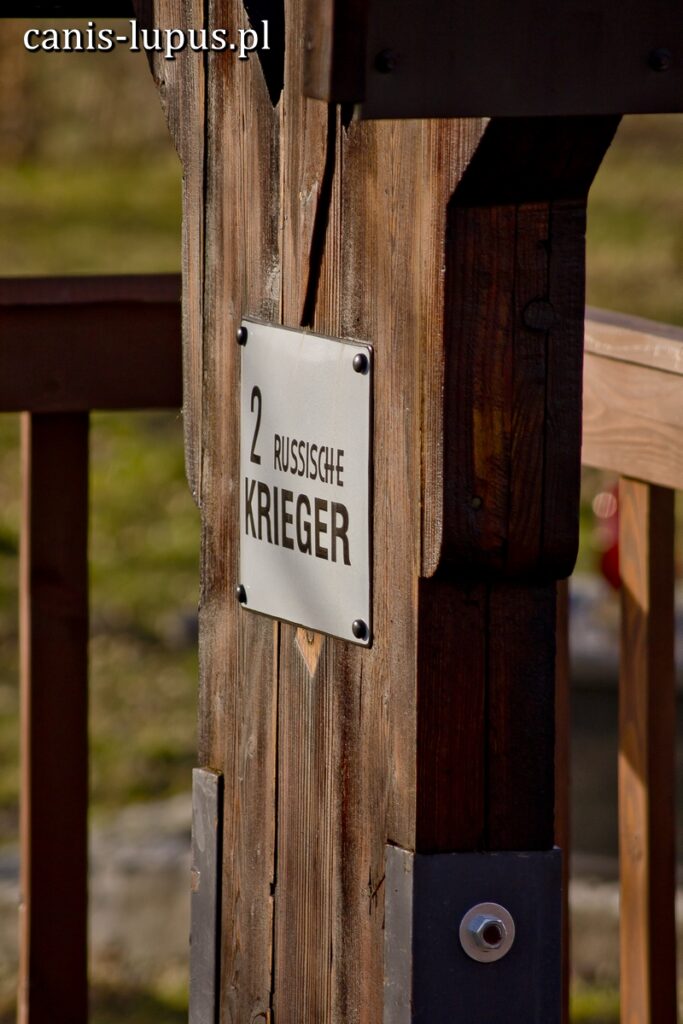 Cmentarz wojenny nr 42 – Sieklówka