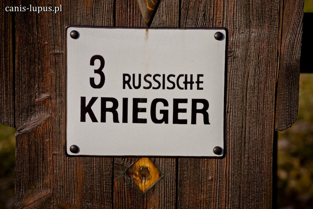 Cmentarz wojenny nr 42 – Sieklówka