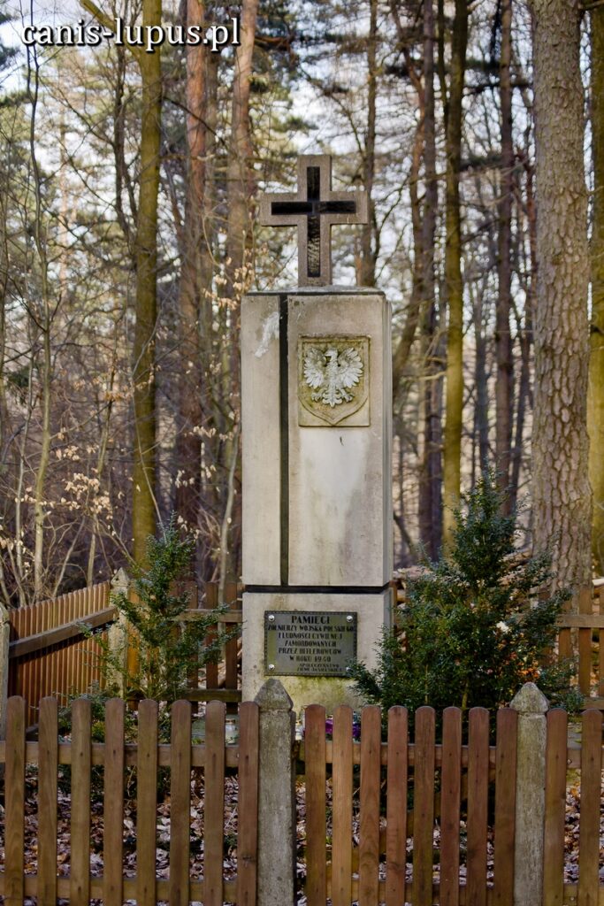 Pomnik w sieklewskim lesie