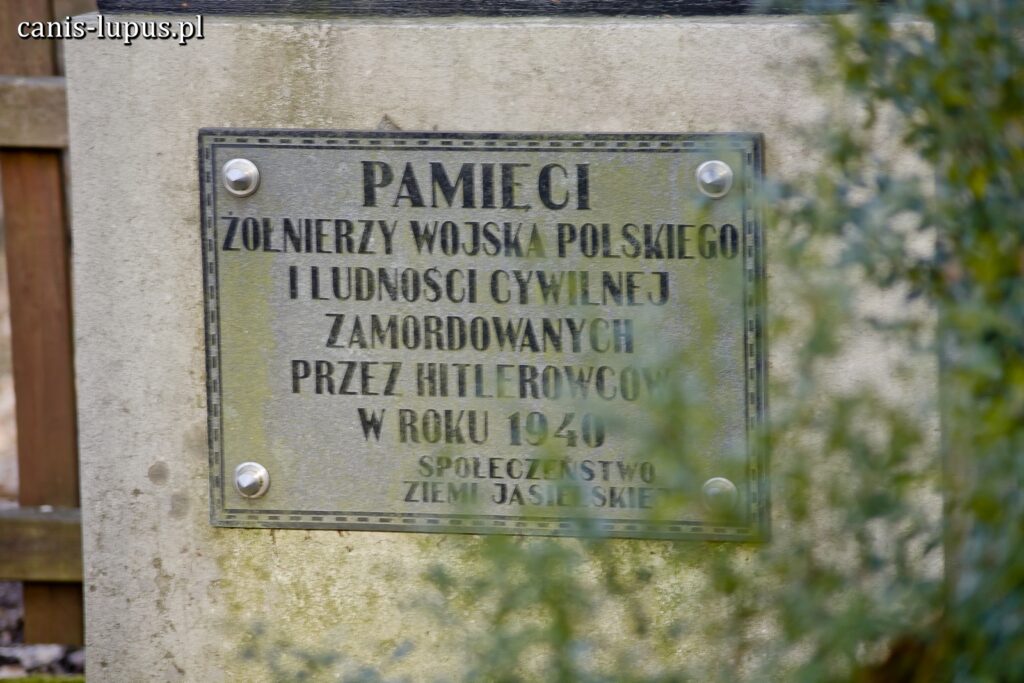 Pomnik w sieklewskim lesie