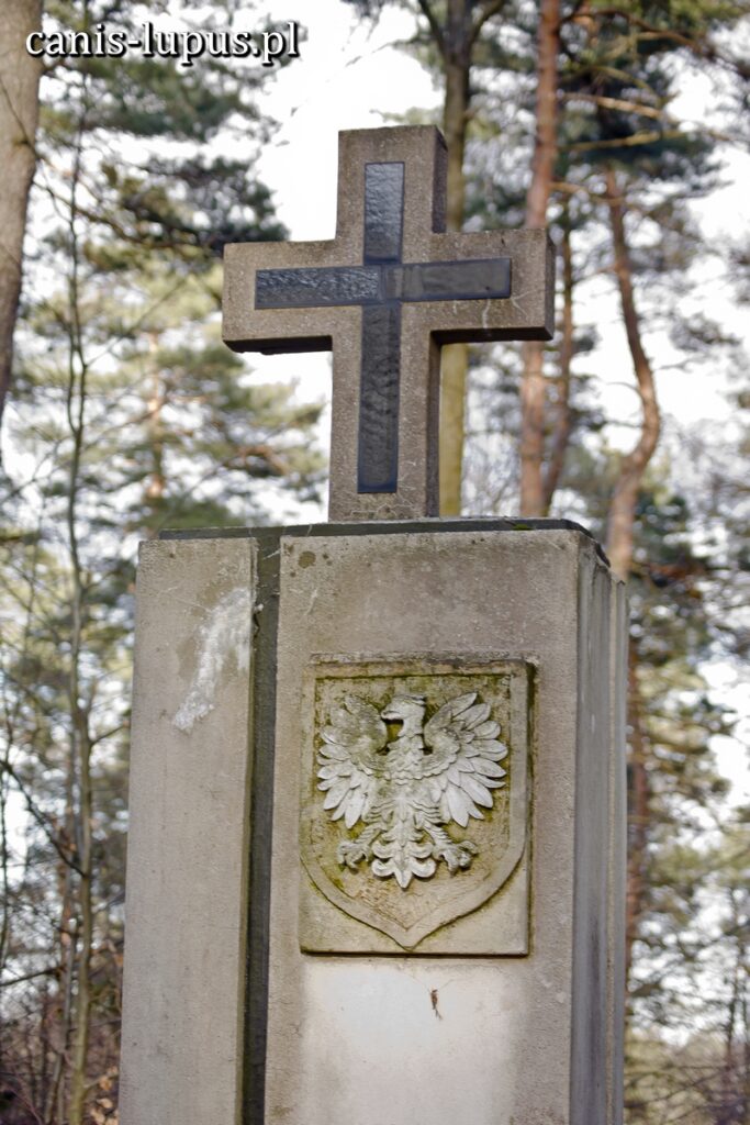 Pomnik w sieklewskim lesie