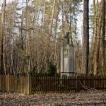 Pomnik w sieklewskim lesie