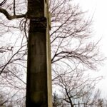 Krzyż maltański na cmentarzu z I wojny światowej Nr 15