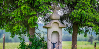 Beskid Niski – dzikość, która znika? Refleksje z podróży przez Radocynę, Ciechanie i więcej