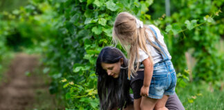 Winnica, dzieci i słońce — rodzinna sesja fotograficzna w Winnicy Vanellus
