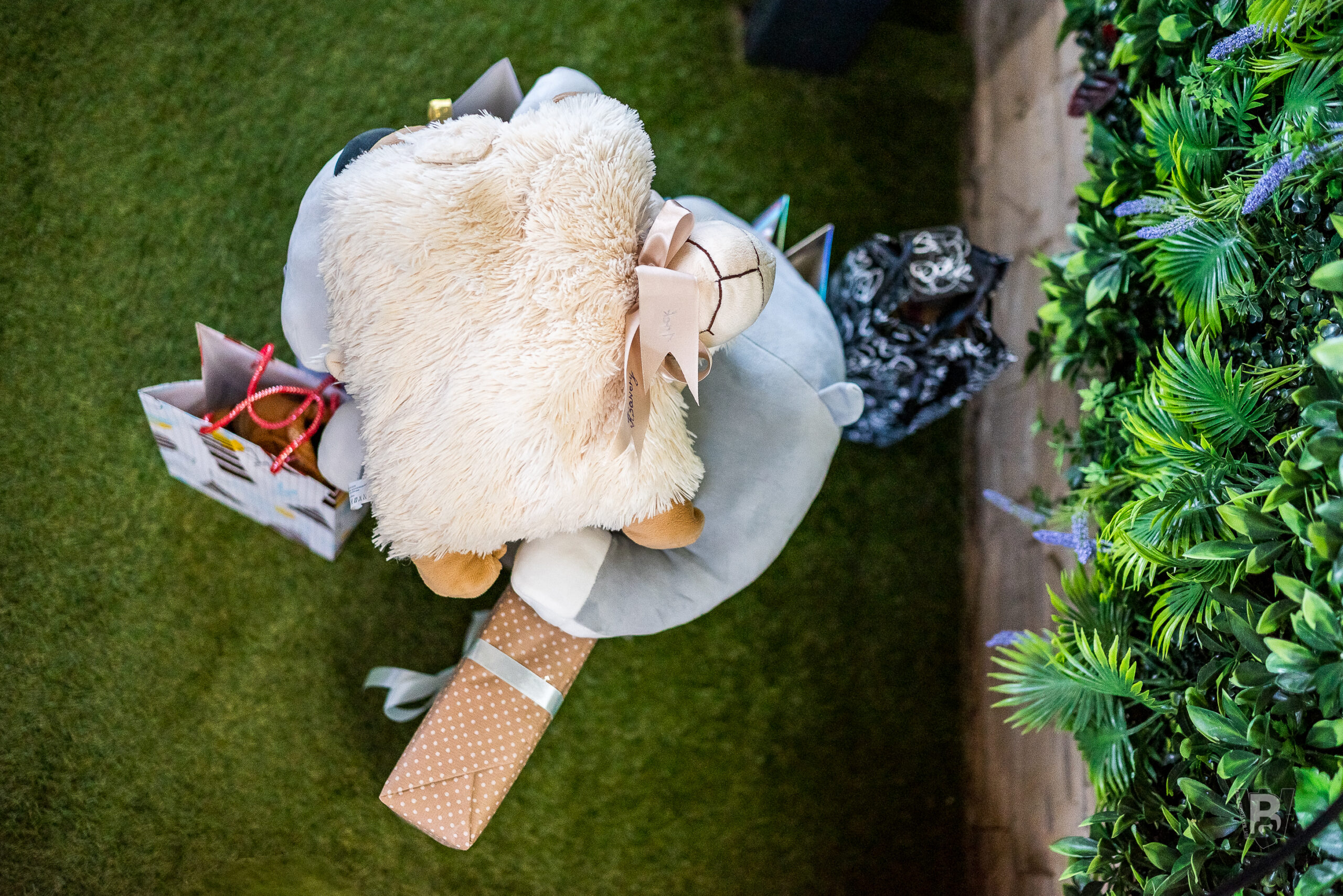 Ksawery kończy roczek – sesja zdjęciowa na pierwsze urodziny