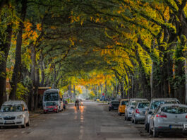 Kikinda: droga, która porządkuje myśli