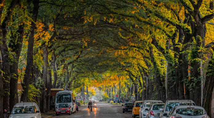 Kikinda: droga, która porządkuje myśli